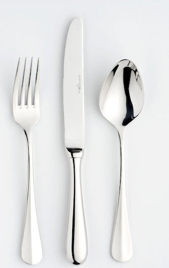 Eternum Stainless Steel Silver Spoons
