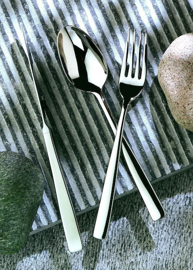 Eternum Stainless Steel Silver Spoons