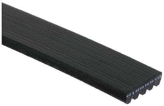 Gates 5pk895 Rippierter Autotriebwerk Riemen