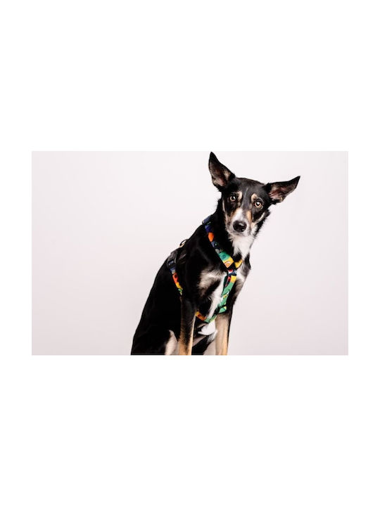 Chaba Chaba Guard Story S Jumbo Hundegeschirre 1.6/26-35cm