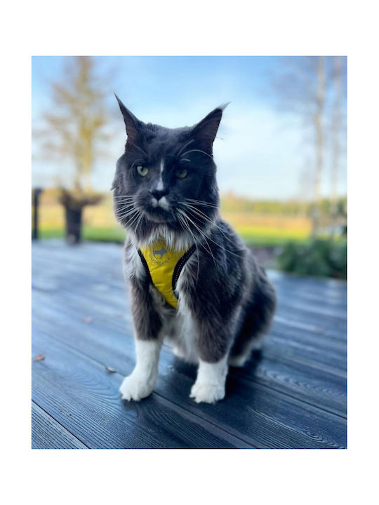All Dogs All Cats Athletic Straps Xs Yellow