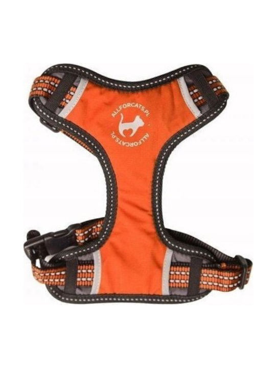 All Dogs All Cats Athletic Straps Xs Yellow