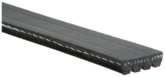 Gates Ribbed Transmission Belt 4pk810sf
