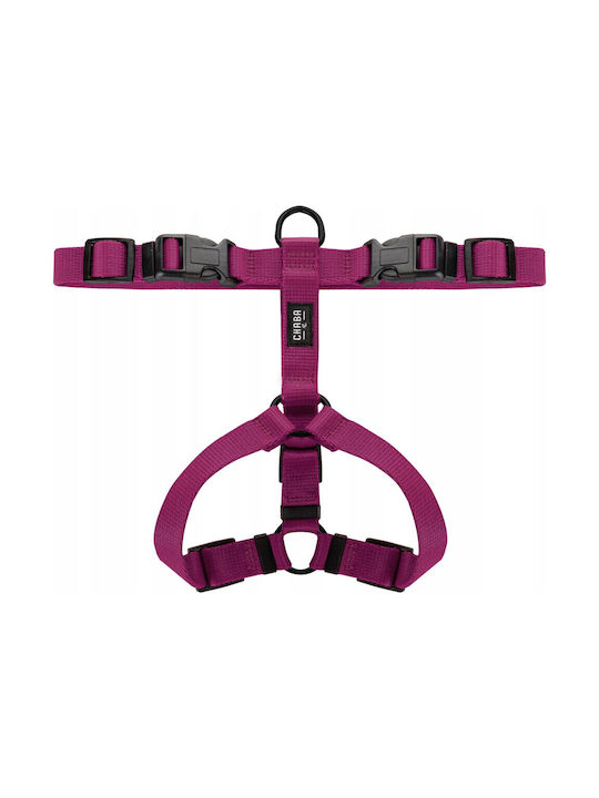 Chaba Chaba Guard S Hundegeschirre Blau 17-27 26-35 1,6cm
