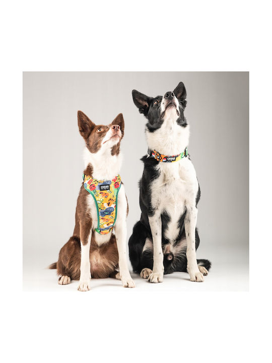 Chaba Chaba Hundegeschirre Schutz Komfort Geschichte M Jumbo 1.6/34-48cm