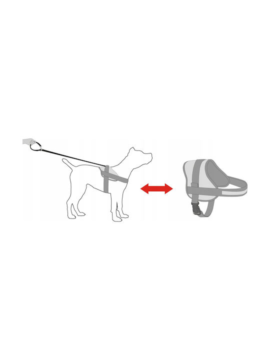 Hobbydog R2 Dog Harness Julletta Beige