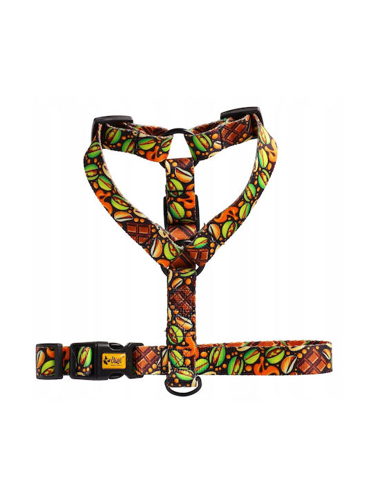 Dingo Guard City Dubai Harness S 2.0 X 24-45cm