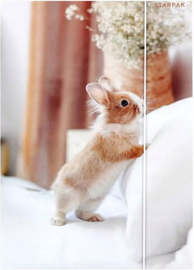 A4 Rabbit Paper Folder Elastic Stk Fol10/100