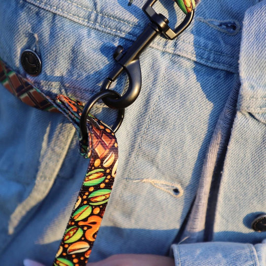 Dingo Leash Reg City Dubai 2.0 X 220cm
