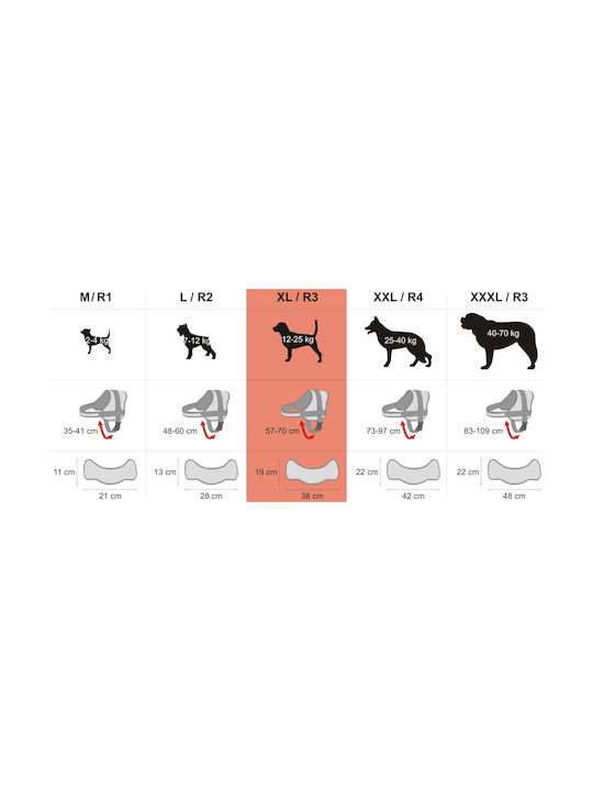 Hobbydog R3 Silk Julletta Popiel