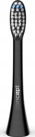 Concept Perfect Smile Ersatzköpfe für ZK0053 4 Stück