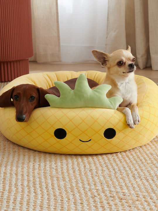 Sofa für Hunde 60cm