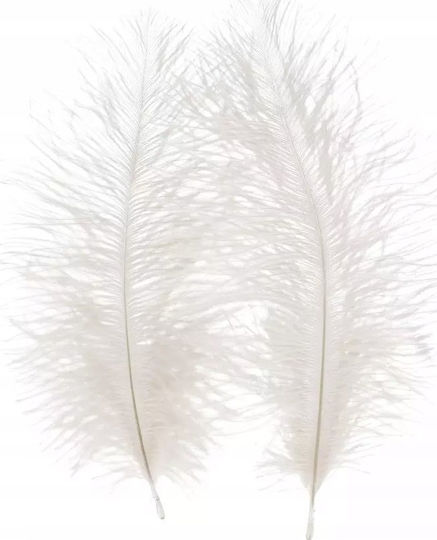 Craft Fun Διακοσμητικο Φτερα 15-20cm 2τεμ Λευκο Cf 12/864