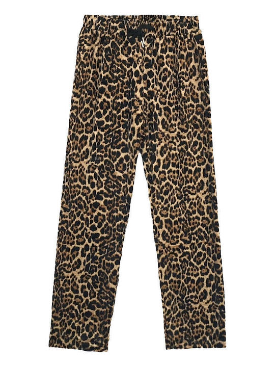 Jogginganzug Samt Brown