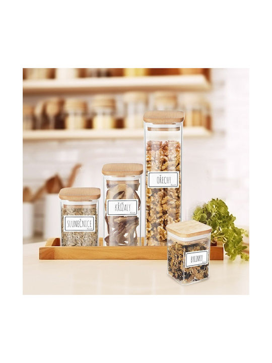 Orion Vase General Use with Lid Glass Transparent 600ml