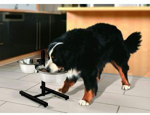 Zolux Edelstahl Schalen Futter für Hund & Katze auf Basis von 2.75lt 24.5cm in Silber Farbe