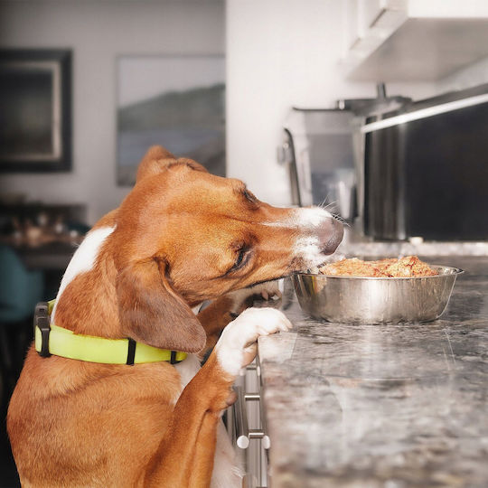 Bult Leckerli für Hunde mit Geflügel 80gr