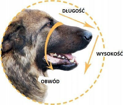 Metal Dog Muzzle Dino Dino 6 Brown Sheepdog 14097137 5904305492513