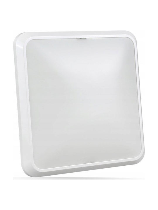 Best Service Ceiling Light