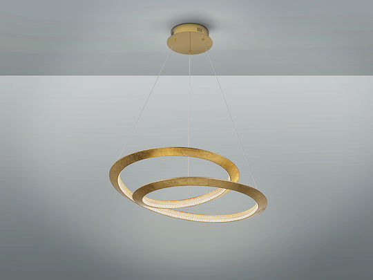 Eternity Adjustable Pendant Light Gold 60cm