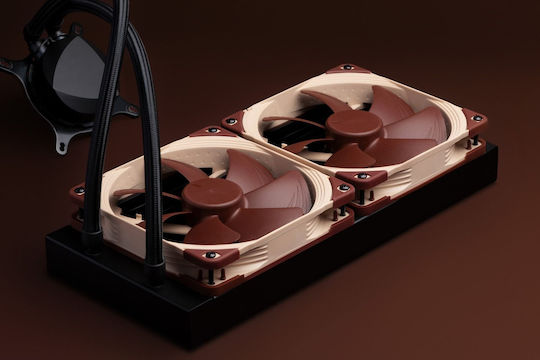 Noctua Schwarz
