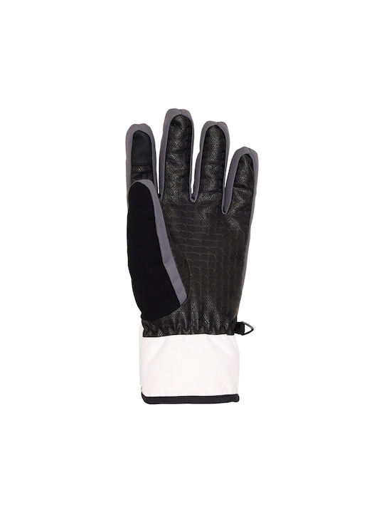 DC Franchise Men's Ski & Snowboard Gloves White