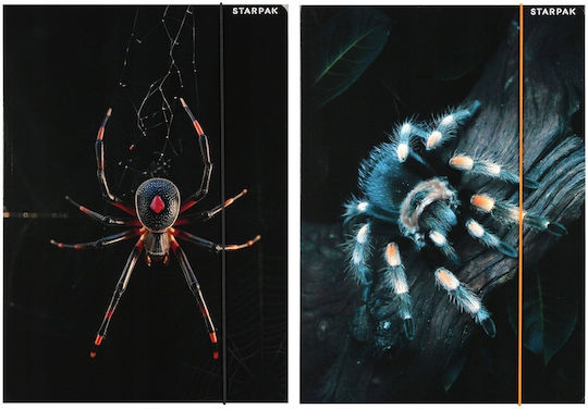 Dosar A4 Spider Stk Cu Elastic Fol10/100