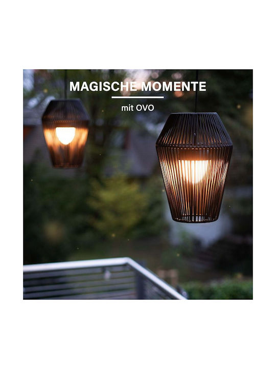 Mega Light Διακοσμητικό Φωτιστικό LED RGBW