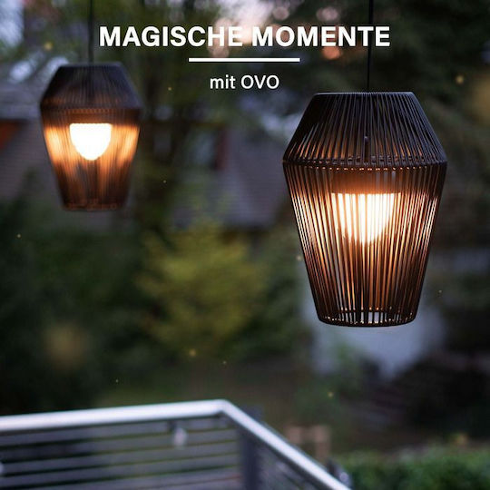 Mega Light Dekorative Tischlampen LED RGBW
