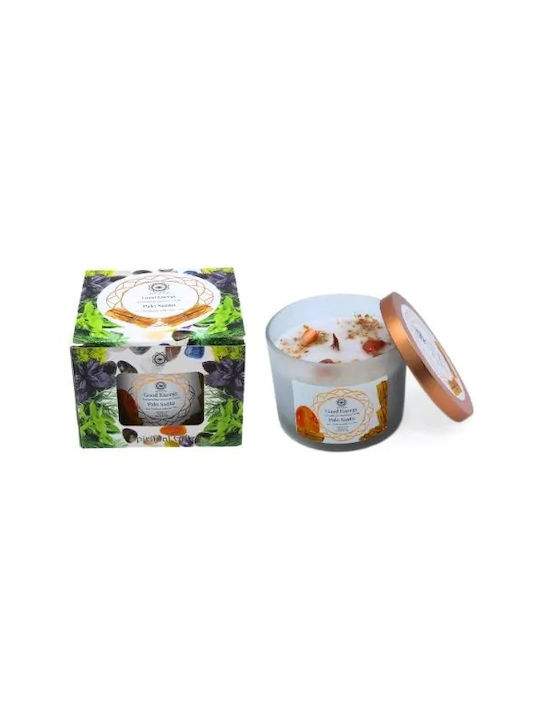 Green Tree Candle Company Aromatisches Soja Kerze in Gefäß Mehrfarbig 256gr