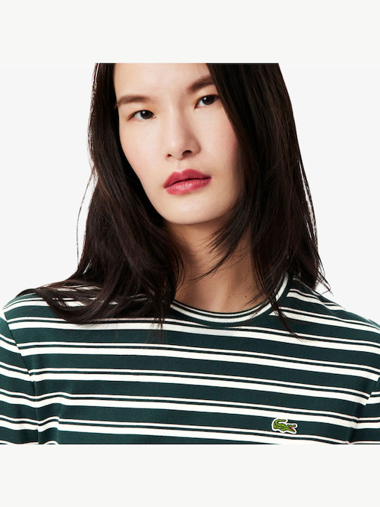 Women's Cotton Long Sleeve Striped Green White Blouse