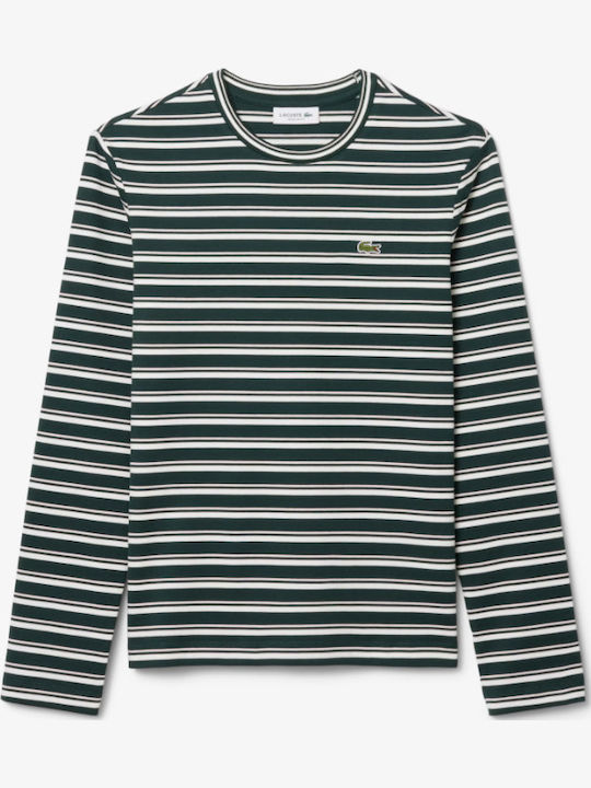 Women's Cotton Long Sleeve Striped Green White Blouse