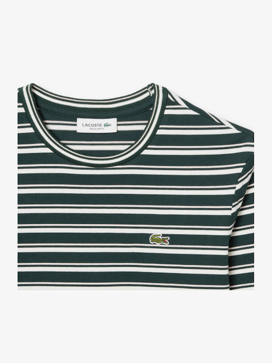 Women's Cotton Long Sleeve Striped Green White Blouse