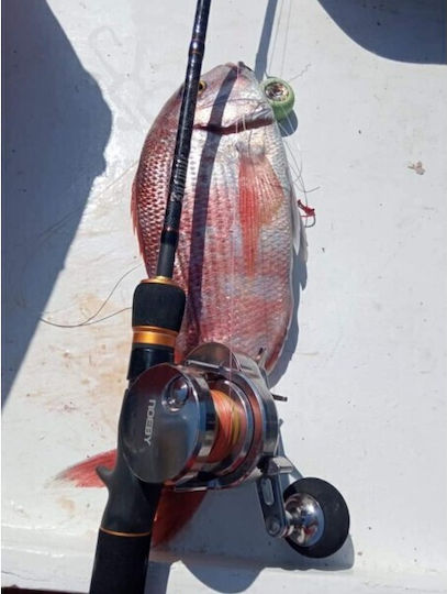Noeby Μηχανισμός Ψαρέματος για Slow Jigging / Συρτή / Καθετή / Μολύβι Φύλακας / Inchiku για Αριστερόχειρες