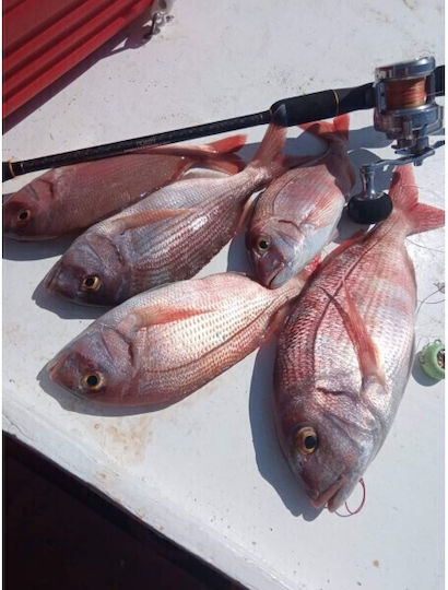 Noeby Μηχανισμός Ψαρέματος για Slow Jigging / Συρτή / Καθετή / Μολύβι Φύλακας / Inchiku για Αριστερόχειρες