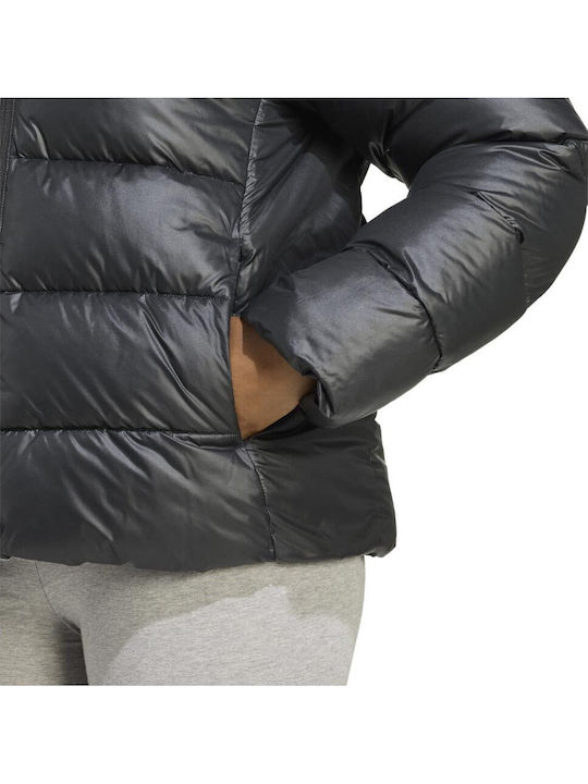 Essentials Damen Puffer Jacke Wasserdicht für Winter Schwarz