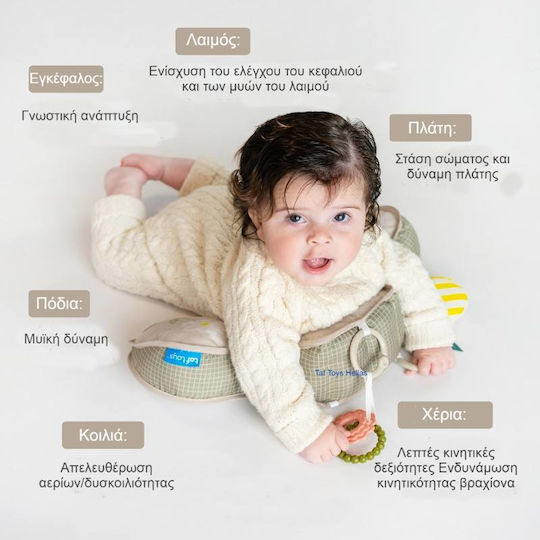 Taf Toys Μαξιλάρι Δραστηριοτήτων για Νεογέννητα