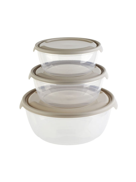 Viosarp Plastic Lunch Box 3pcs
