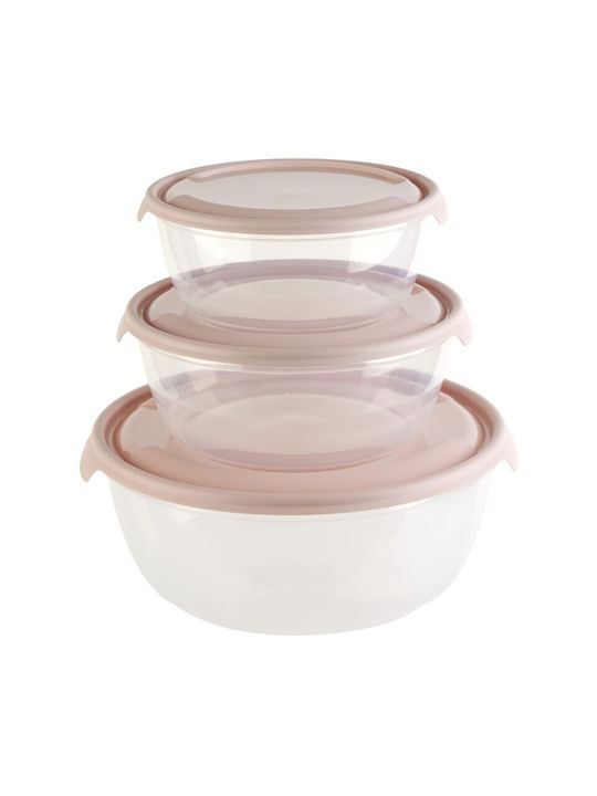 Viosarp Plastic Lunch Box 3pcs