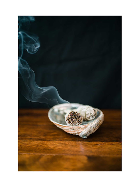 White Sage Smudge Stick 10χ3cm 3 Ραβδιά Θυμιάματος Λευκό Φασκόμηλο