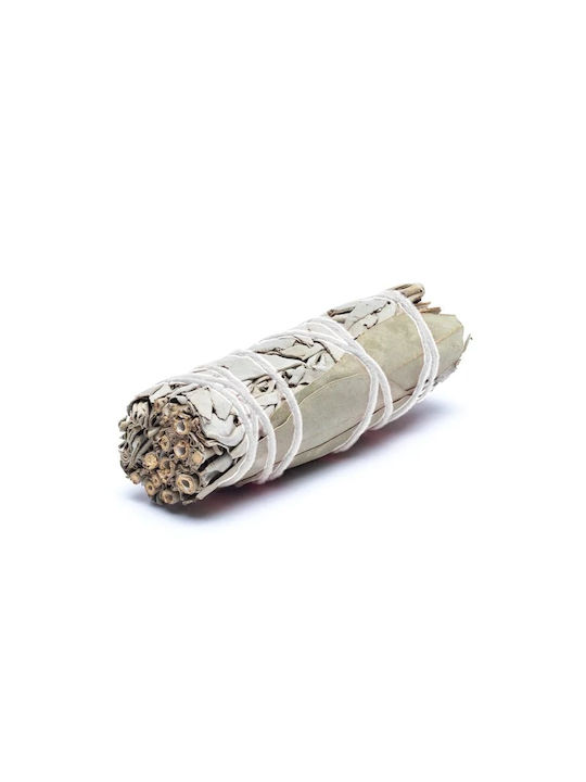 White Sage Eucalyptus Smudge Stick 10χ3cm Ραβδί Θυμιάματος Φασκόμηλο Ευκάλυπτος