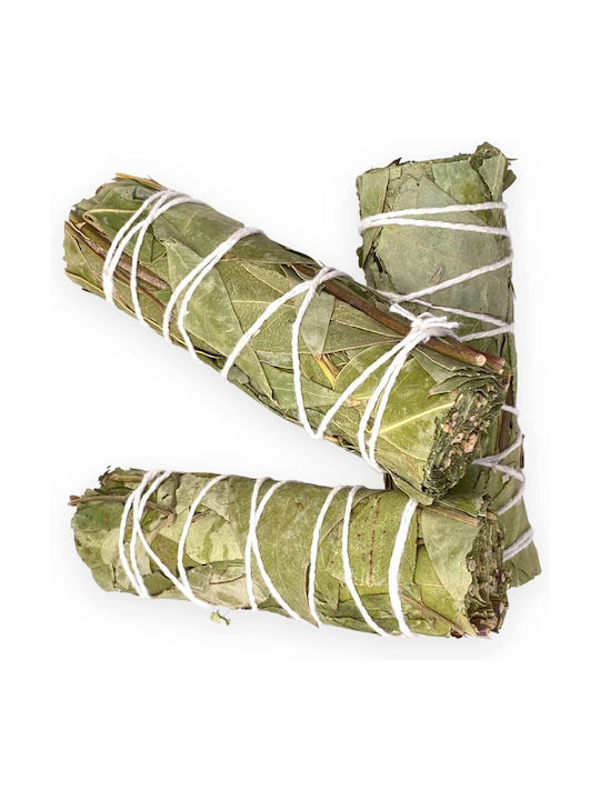 White Sage Eucalyptus Smudge Stick 10χ3cm Ραβδί Θυμιάματος Φασκόμηλο Ευκάλυπτος