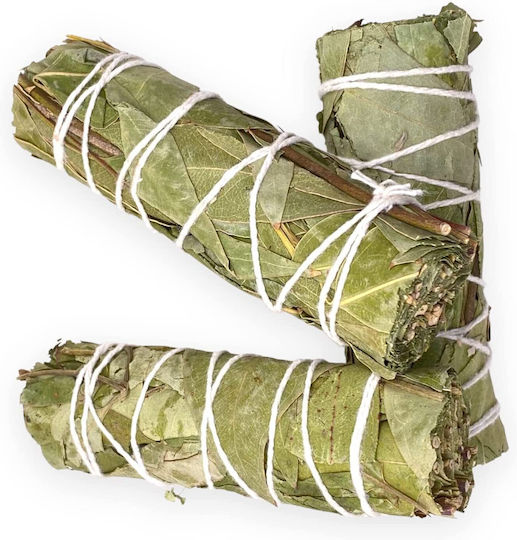 White Sage Eucalyptus Smudge Stick 10x3cm Incense Stick Sage Eucalyptus