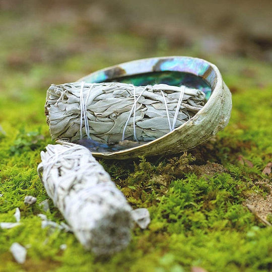 White Sage Smudge Stick 10χ3cm 3 Ραβδιά Θυμιάματος Λευκό Φασκόμηλο