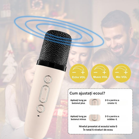 Boxă Karaoke cu Microfoane Wireless și Efecte de Iluminare ED438 Roz