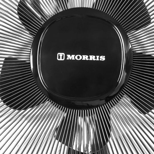 Morris Pedestal Fan 28W 41cm Diameter With Remote Control Black