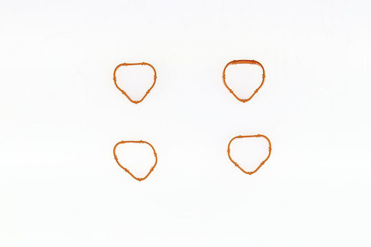 Intake Manifold Gasket Set Nisskubistar X76 1.2 16v 2006-2009 Corteco 026471h