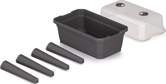 Prosperplast IPE600-S433 Mini Σπορείο 36.8x59.6x75.3cm