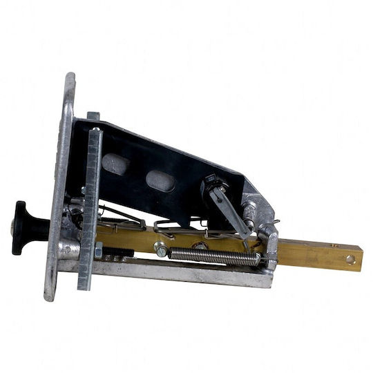 Kermatodectis G07 0,50 Euro