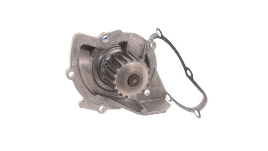 Skf Water Pump